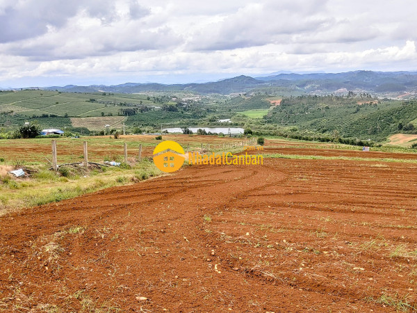 Cần tiền bán gấp 9.500m2 đất đỏ xã tà hine,lâm đồng chỉ 230 triệusào tl