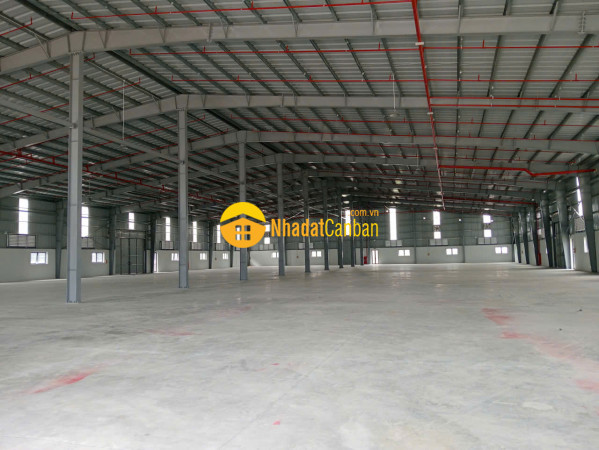 Cho thuê kho xưởng mới tại đường đt379 văn giang, hưng yên