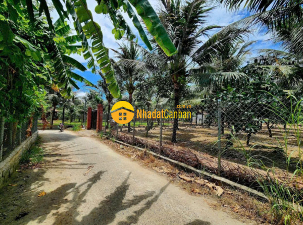 Bán nhanh lô đất đắc lộc vĩnh phương nha trang