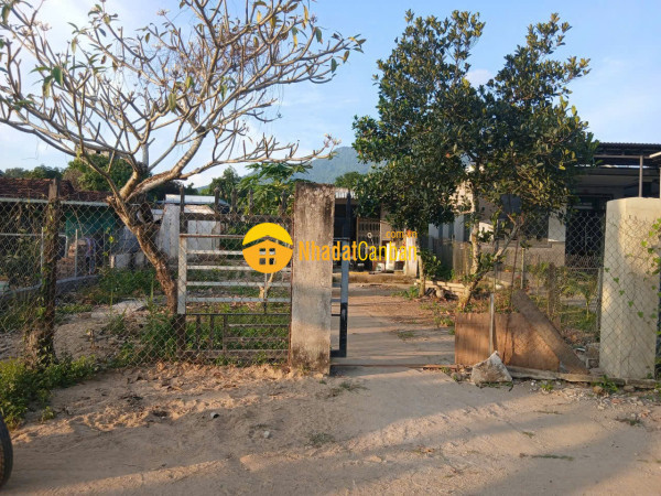 Bán căn nhà vườn diên lâm mặt đường nội thôn tặng vườn cây trái đủ loại